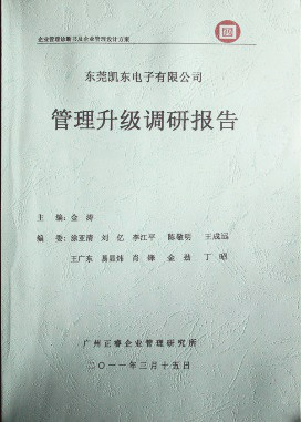 2011年3月15日，正睿咨詢(xún)專(zhuān)家向凱東決策層陳述調(diào)研報(bào)告