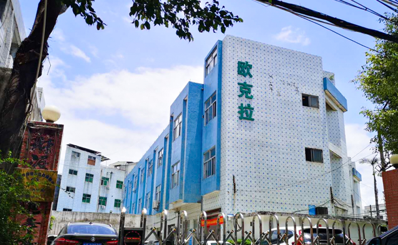 2021年東莞市歐克拉電子科技有限公司全面升級管理項目圓滿成功！