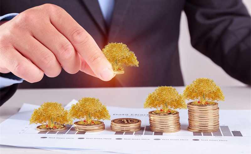 業(yè)績管理與績效評估、薪酬管理和職業(yè)發(fā)展之間的關(guān)系