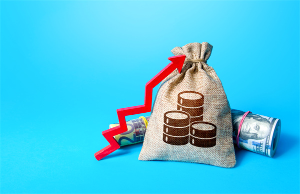 「預(yù)算管理咨詢」如何在不同階段制定不同的預(yù)算計(jì)劃？