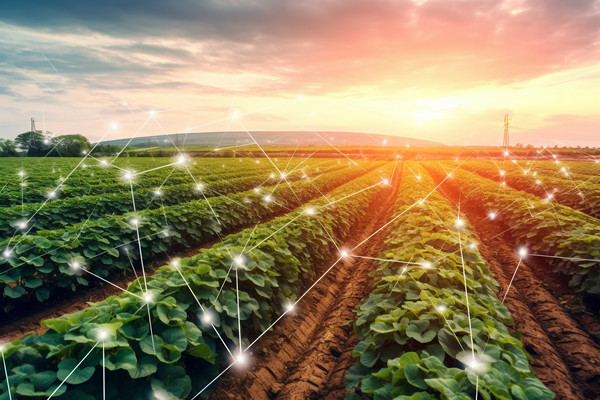 「咨詢公司」供應鏈管理的目的和意義是什么？