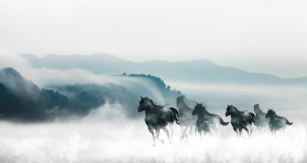 企業(yè)戰(zhàn)略規(guī)劃：為企業(yè)制定全面、長遠(yuǎn)的發(fā)展戰(zhàn)略