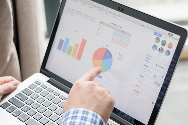 預(yù)算控制咨詢：協(xié)助企業(yè)建立控制體系，確保預(yù)算執(zhí)行