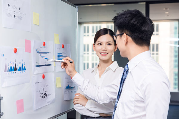 組織咨詢：協(xié)助企業(yè)制定組織發(fā)展戰(zhàn)略，推動組織成長