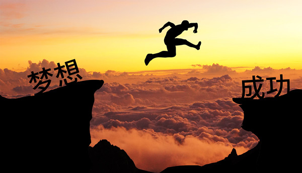 績效管理：應(yīng)對變革挑戰(zhàn)，推動組織變革成功