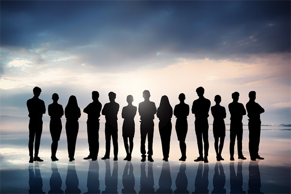 優(yōu)化組織結(jié)構(gòu)，提升協(xié)作效能，助推組織發(fā)展新高度