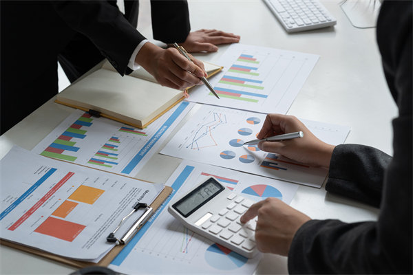 預(yù)算管理策略：優(yōu)化資源配置，提升企業(yè)財務(wù)效能