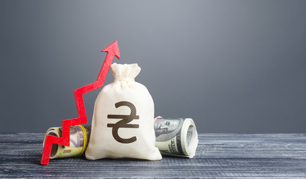 預(yù)算管理中的風(fēng)險評估與應(yīng)對策略有哪些？