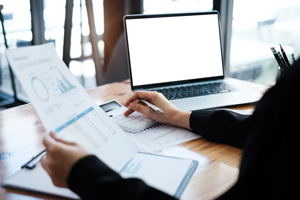 預算監(jiān)控與調整機制如何建立，確保預算執(zhí)行到位？