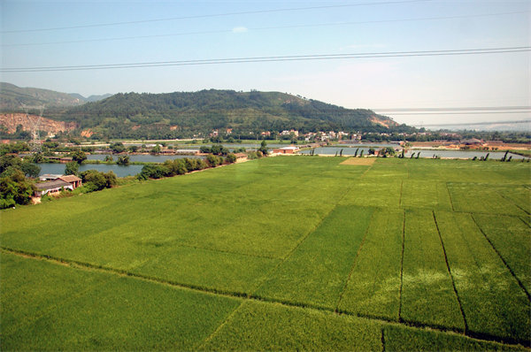 管理咨詢(xún)?nèi)绾沃η暹h(yuǎn)企業(yè)解決發(fā)展難題？