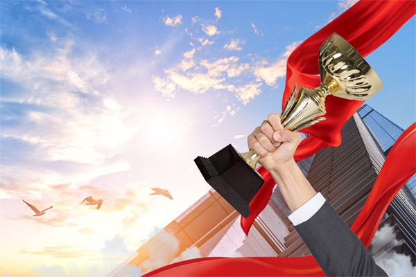 如何確保戰(zhàn)略規(guī)劃與企業(yè)文化及價(jià)值觀相契合？