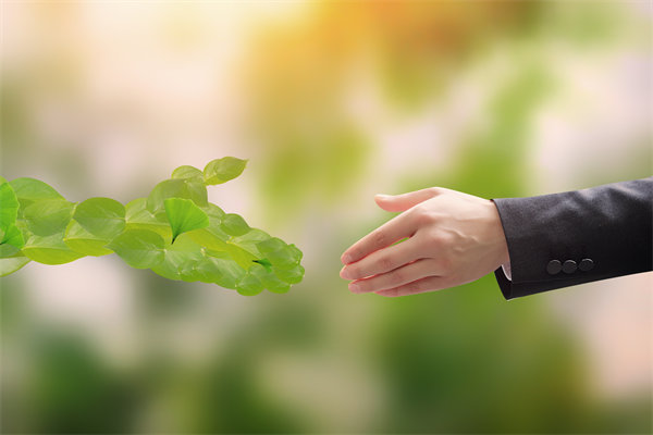 可持續(xù)發(fā)展成為趨勢(shì)，企業(yè)如何融入綠色戰(zhàn)略以促增長？