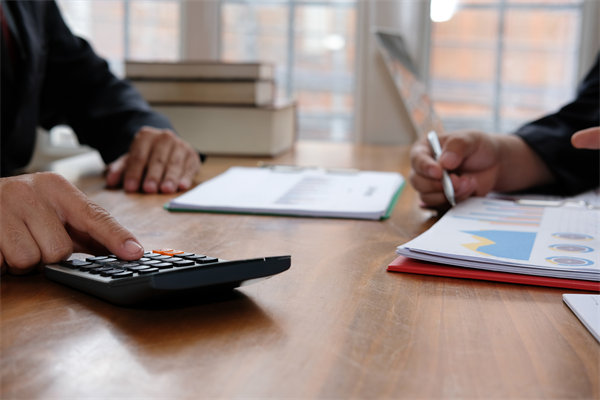 預(yù)算管理系統(tǒng)中，如何平衡自動(dòng)化與人工審核的利弊？