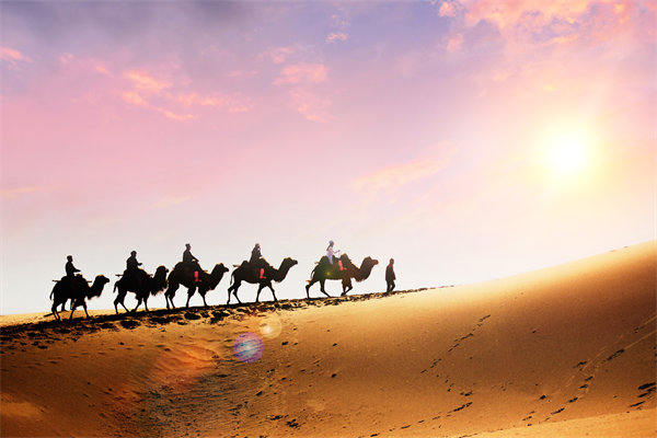 企業(yè)文化在人力資源管理中，扮演著怎樣的角色？