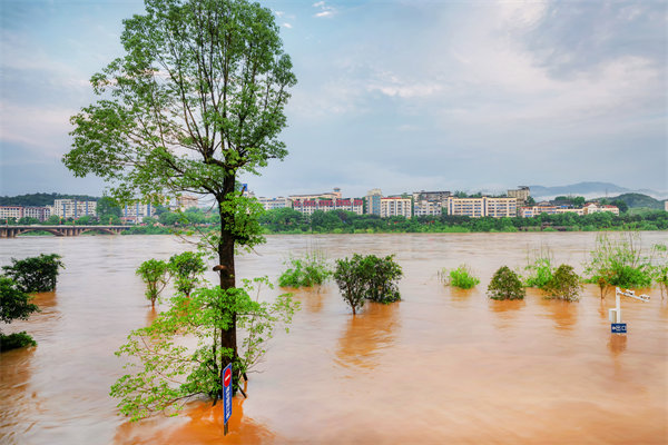 供應(yīng)鏈韌性建設(shè)：面對(duì)自然災(zāi)害的應(yīng)急計(jì)劃與恢復(fù)力？