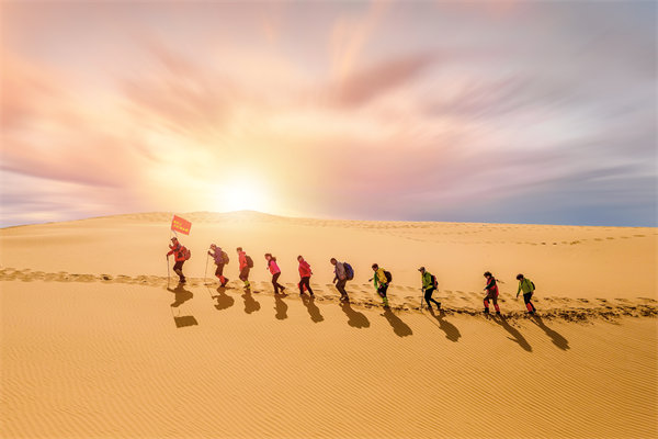 組織需要擴大規(guī)模時，如何確保資源有效整合與配置？