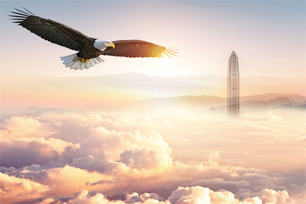 企業(yè)文化與企業(yè)管理如何協(xié)同，推動企業(yè)持續(xù)發(fā)展？