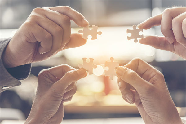 如何構建高效的集團管控體系，驅動企業(yè)穩(wěn)健前行？