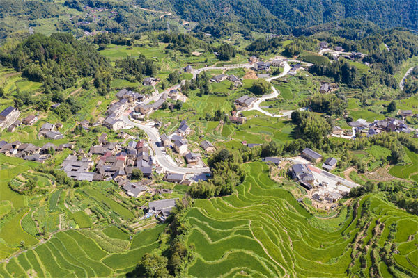 麗水人力資源咨詢(xún)公司如何優(yōu)化企業(yè)人才布局？