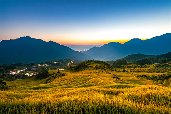 麗水組織規(guī)劃咨詢公司如何為企業(yè)構(gòu)建高效組織架構(gòu)？