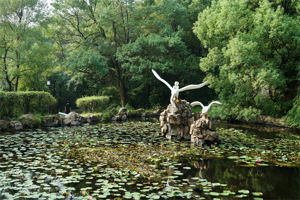 株洲預(yù)算管理咨詢(xún)公司如何為企業(yè)打造精準(zhǔn)預(yù)算管理體系？