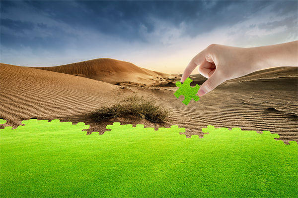 企業(yè)深陷困境，管理咨詢?nèi)绾我岳做侄未蚱瓢l(fā)展僵局？