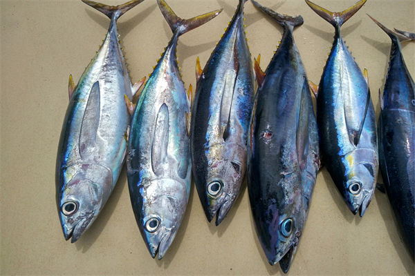 商務部：將幫助外貿企業(yè)擴寬內銷渠道，政策解讀！