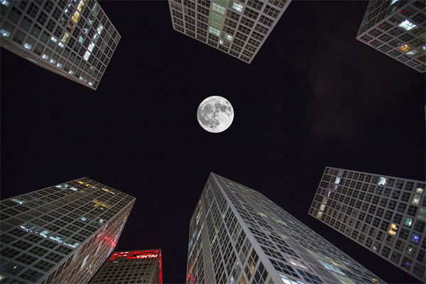 全球品牌，如何贏在中國？企業(yè)營銷管理有何啟示？