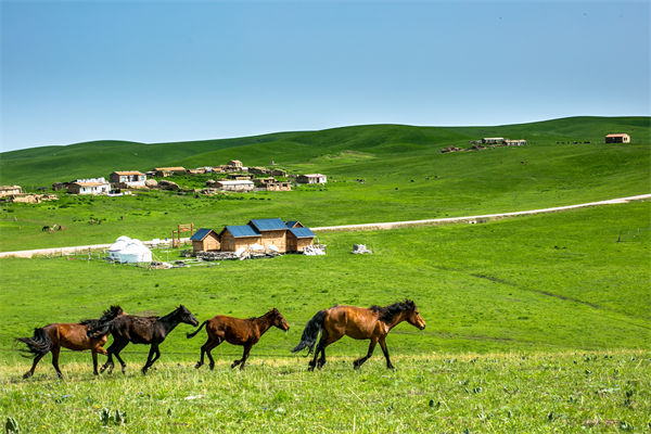 飛新疆的機(jī)票價(jià)格漲爆了，什么情況？是營銷炒作？