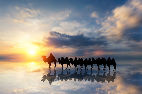 戰(zhàn)略與文化脫節(jié)，企業(yè)理念如何落地支撐發(fā)展？