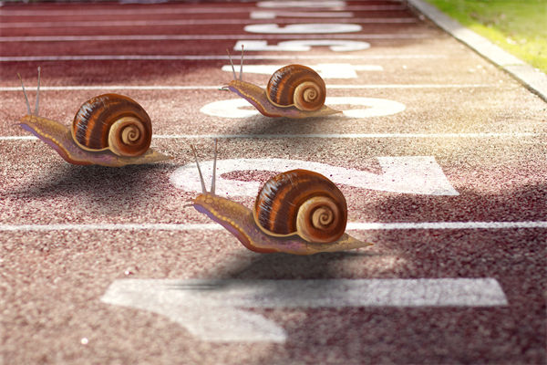 新業(yè)務(wù)拓展艱難，年度經(jīng)營計劃為其定制專屬發(fā)展路徑