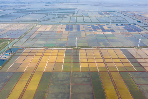 濰坊制造業(yè)招工難留人更難，濰坊人力資源咨詢公司如何破局用工困局？