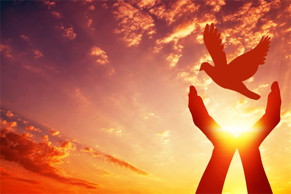 別讓盲卡盲盒“收割”孩子，關(guān)聯(lián)企業(yè)戰(zhàn)略怎么看？