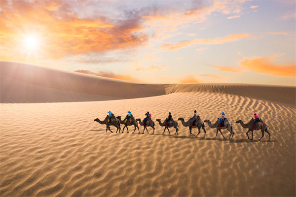 企業(yè)文化管理失效？這三大認(rèn)知誤區(qū)為何拖垮團(tuán)隊(duì)？