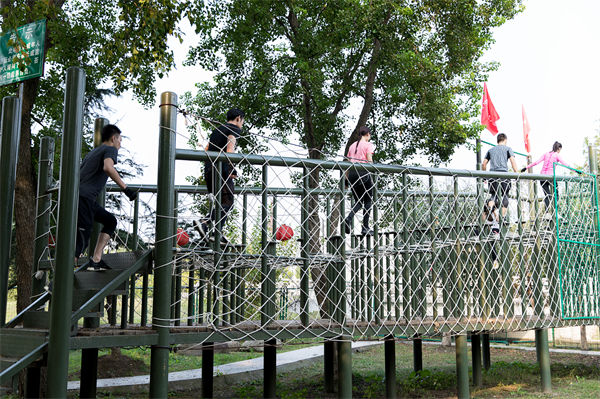 文化活動形式豐富多樣，組織凝聚力提升為何緩慢？