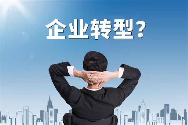 企業(yè)轉(zhuǎn)型無方向，數(shù)智化咨詢公司能否指引明路？