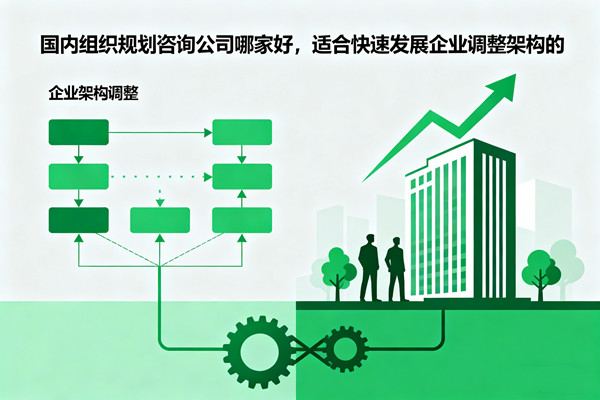 國(guó)內(nèi)組織規(guī)劃咨詢(xún)公司哪家好，適合快速發(fā)展企業(yè)調(diào)整架構(gòu)的