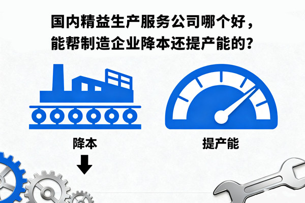 國(guó)內(nèi)精益生產(chǎn)服務(wù)公司哪個(gè)好，能幫制造企業(yè)降本還提產(chǎn)能的？