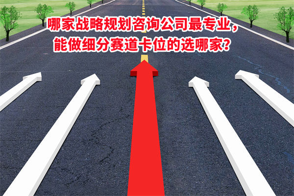 哪家戰(zhàn)略規(guī)劃咨詢公司最專業(yè)，能做細分賽道卡位的選哪家？