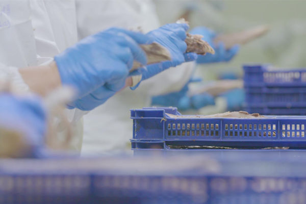 本土駐廠精益生產(chǎn)咨詢哪家強(qiáng)，能快速提升產(chǎn)線流轉(zhuǎn)效率么？